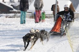 Lenk 2012 SM